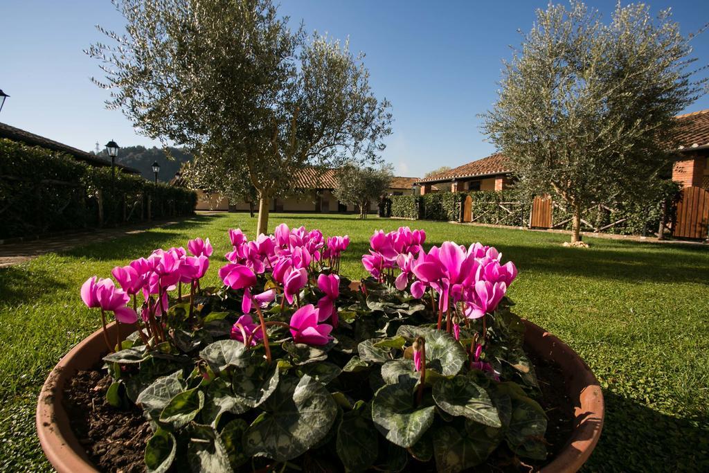 Agriturismo Tre Acque Estadia no rancho Roma